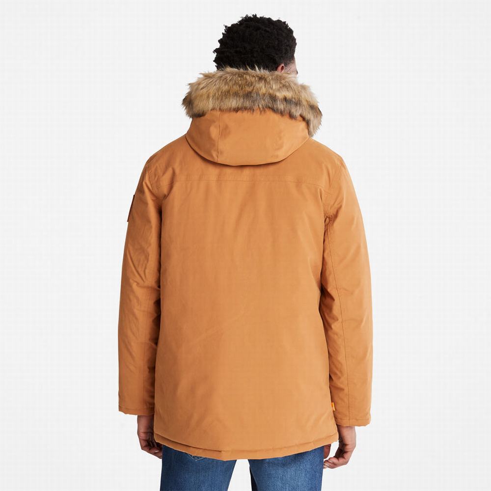 Bundy Parka Timberland Boundary Peak Warm Panske Žlté | CI4675038