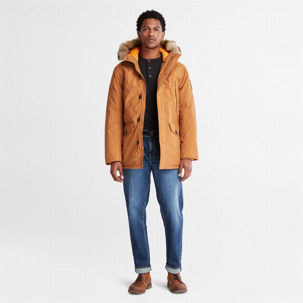 Bundy Parka Timberland Boundary Peak Warm Panske Žlté | CI4675038