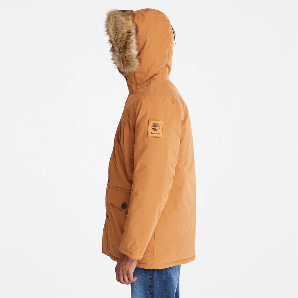 Bundy Parka Timberland Boundary Peak Warm Panske Žlté | CI4675038