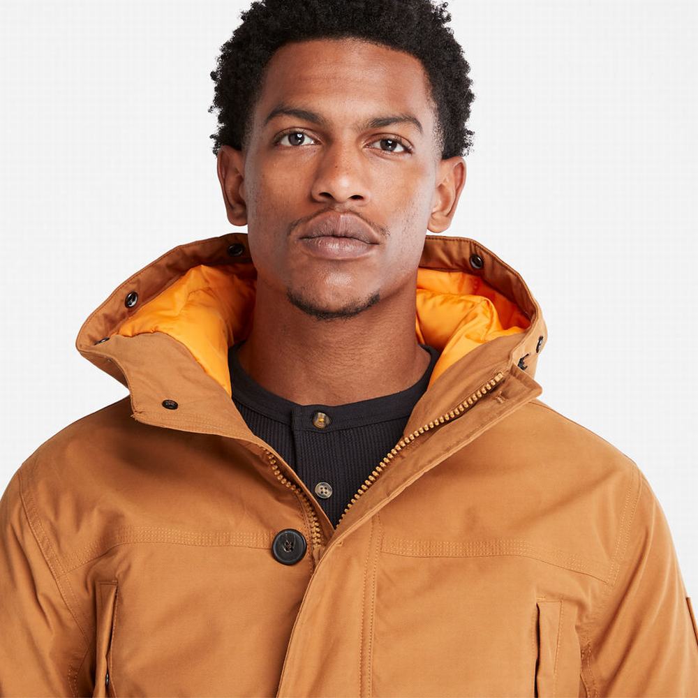 Bundy Parka Timberland Boundary Peak Warm Panske Žlté | CI4675038