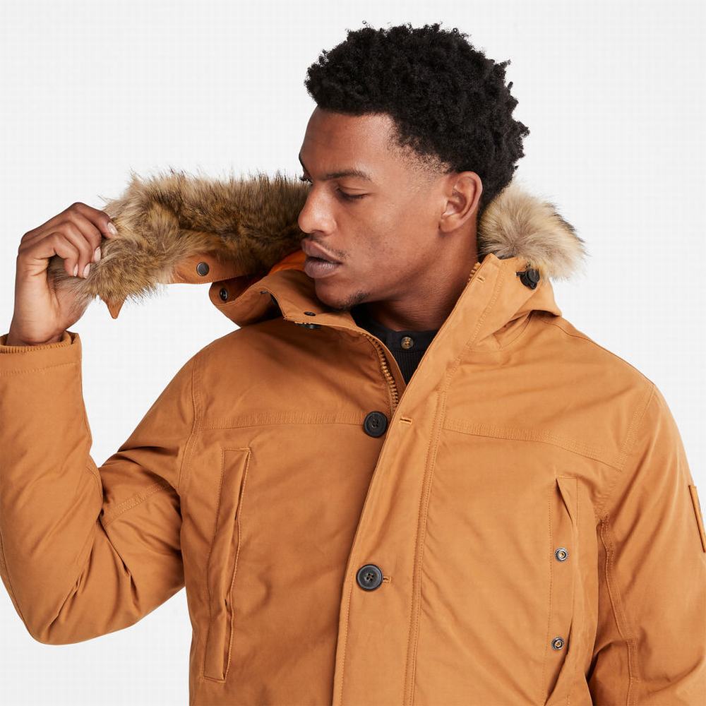 Bundy Parka Timberland Boundary Peak Warm Panske Žlté | CI4675038