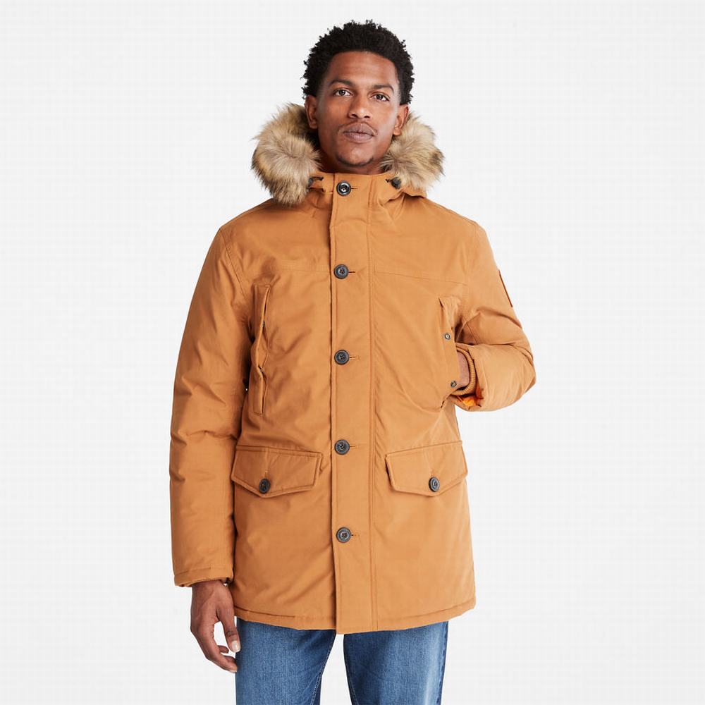 Bundy Parka Timberland Boundary Peak Warm Panske Žlté | CI4675038