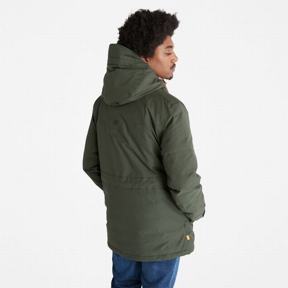 Bundy Parka Timberland Expedition Field Panske Tmavo Zelene | YV9360148