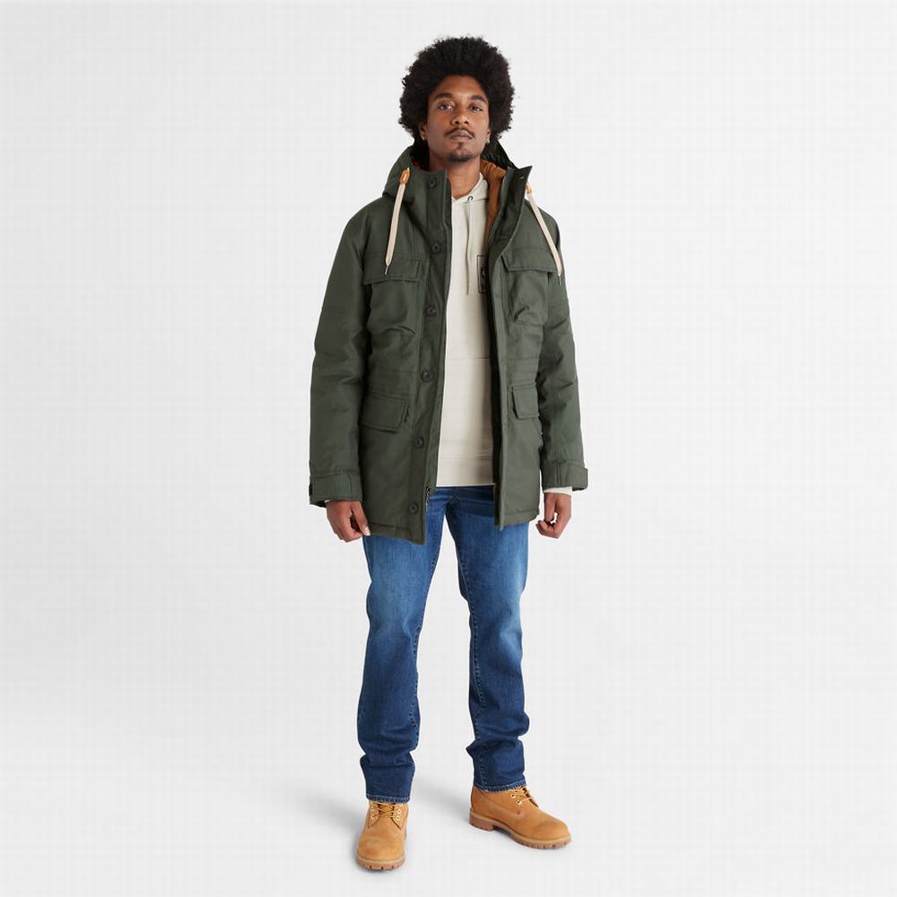 Bundy Parka Timberland Expedition Field Panske Tmavo Zelene | YV9360148