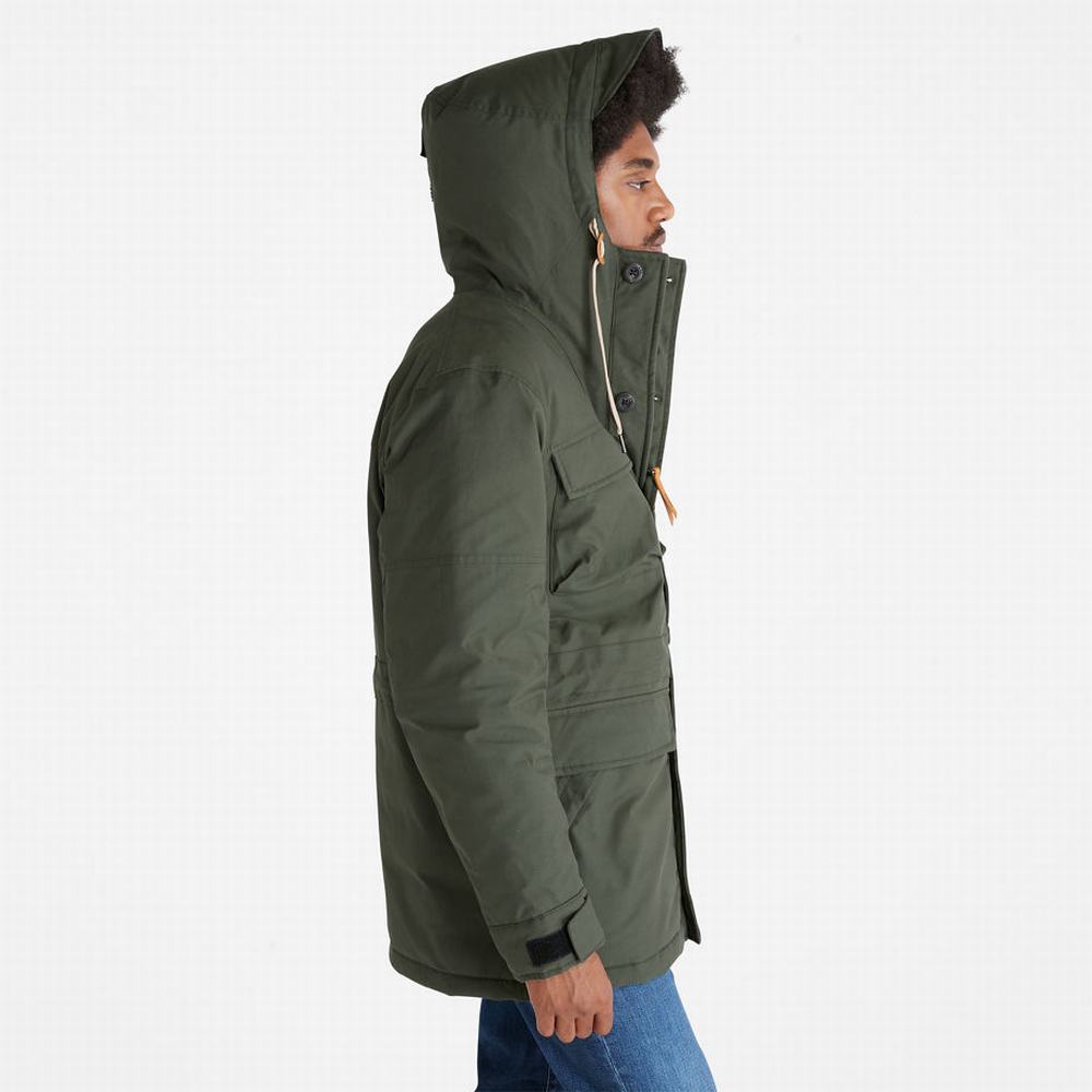 Bundy Parka Timberland Expedition Field Panske Tmavo Zelene | YV9360148