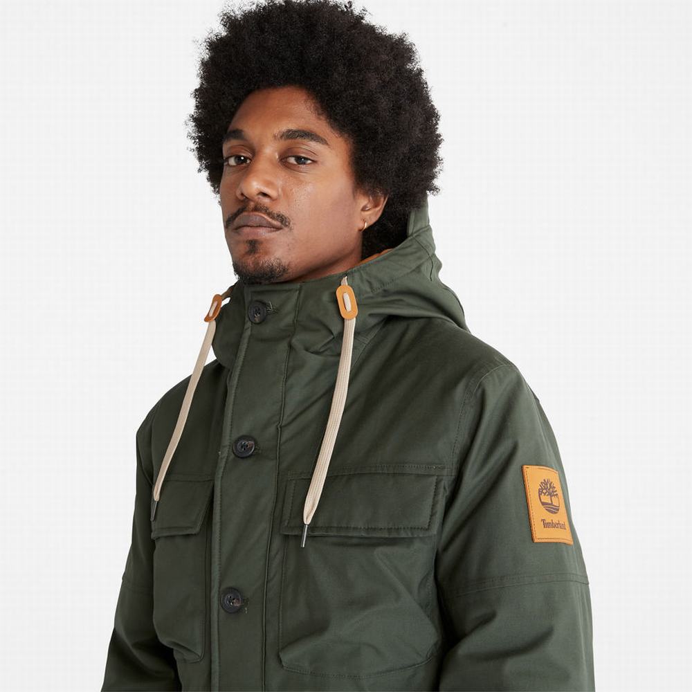 Bundy Parka Timberland Expedition Field Panske Tmavo Zelene | YV9360148