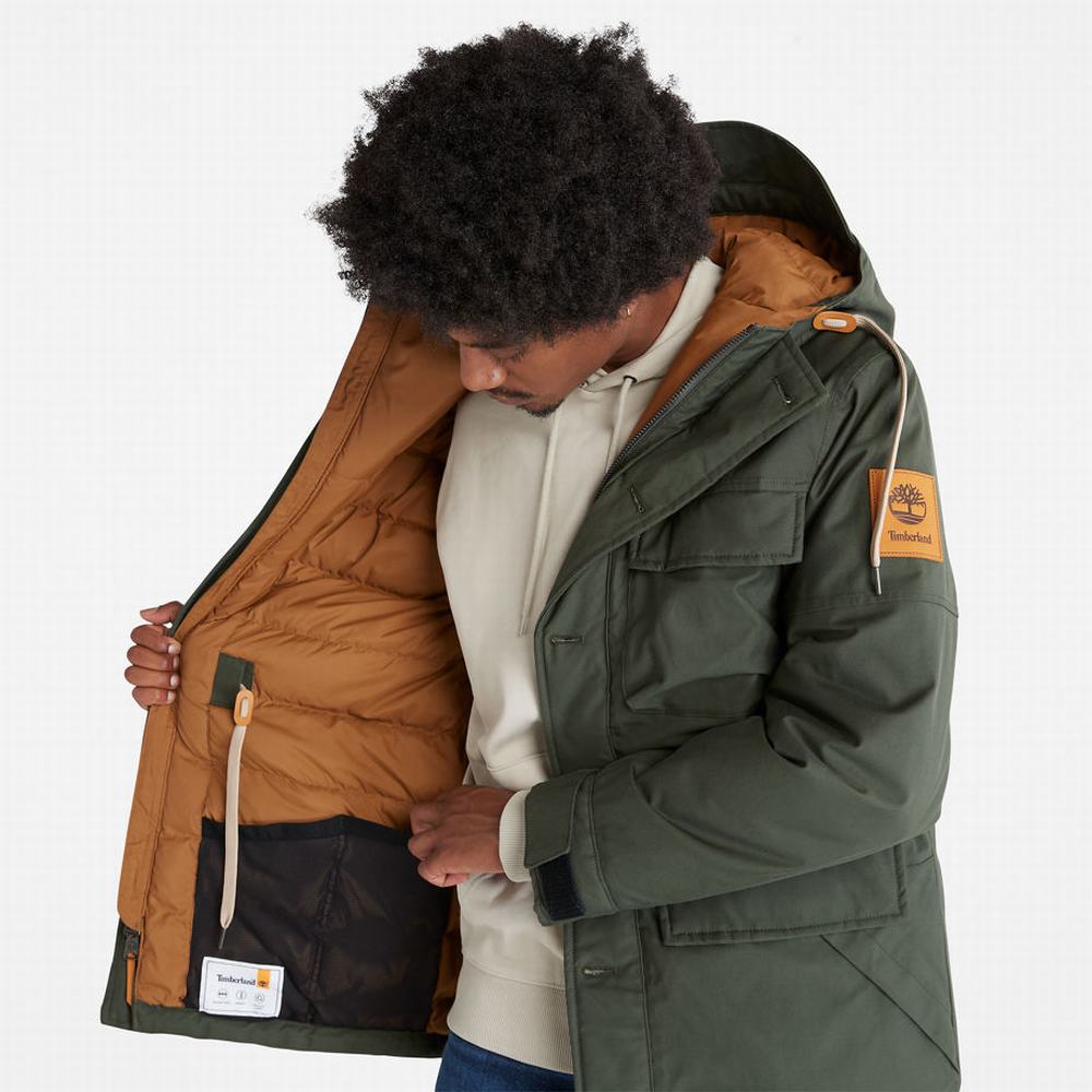 Bundy Parka Timberland Expedition Field Panske Tmavo Zelene | YV9360148