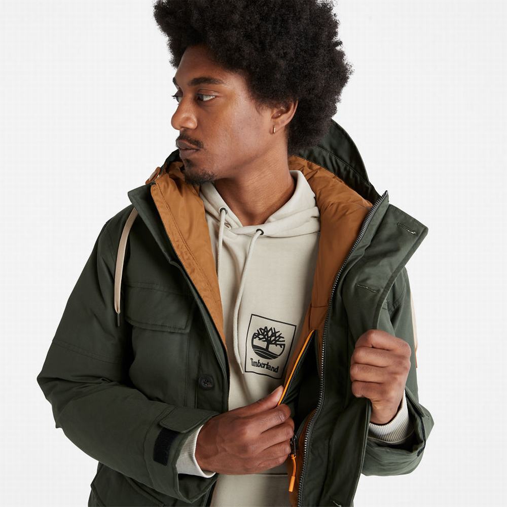 Bundy Parka Timberland Expedition Field Panske Tmavo Zelene | YV9360148