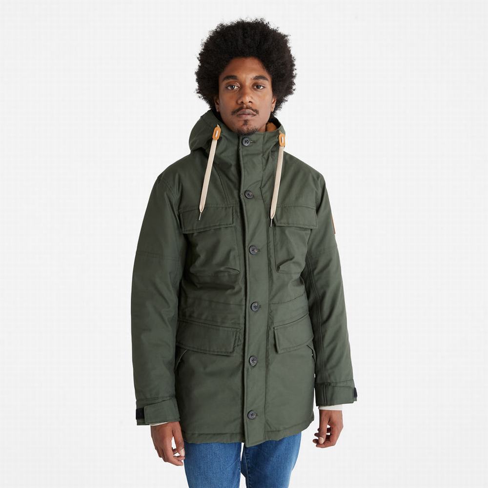 Bundy Parka Timberland Expedition Field Panske Tmavo Zelene | YV9360148