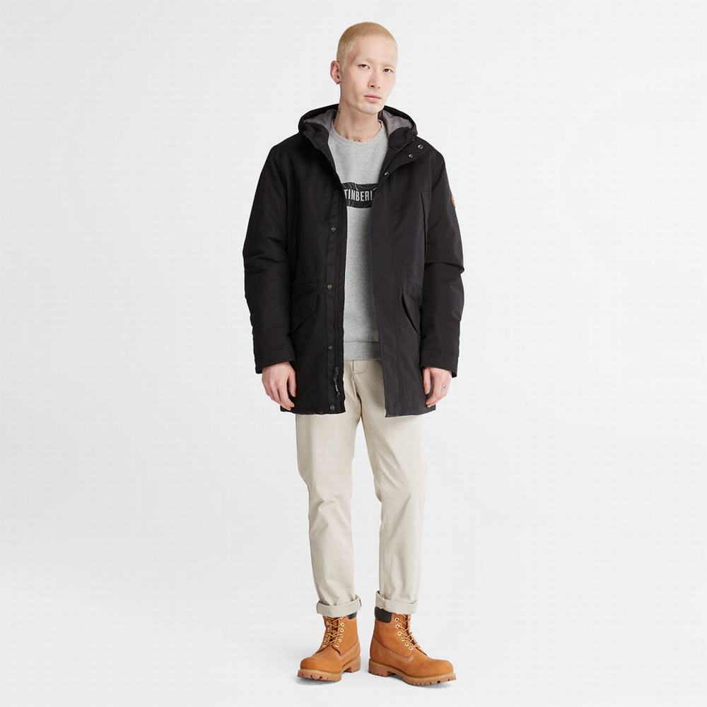 Bundy Parka Timberland Insulated City Panske Čierne | AX8392701