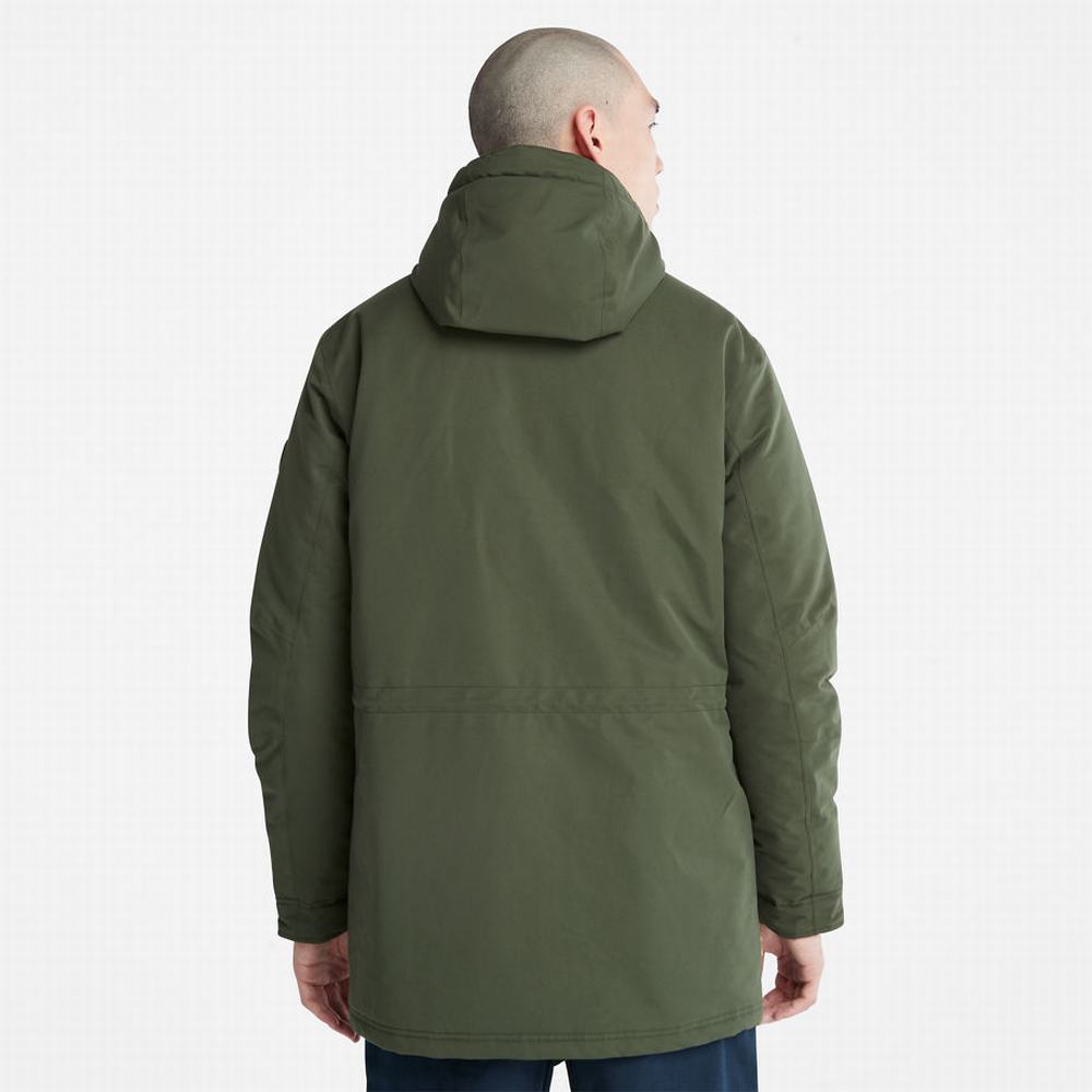 Bundy Parka Timberland Insulated City Panske Tmavo Zelene | MX0379185