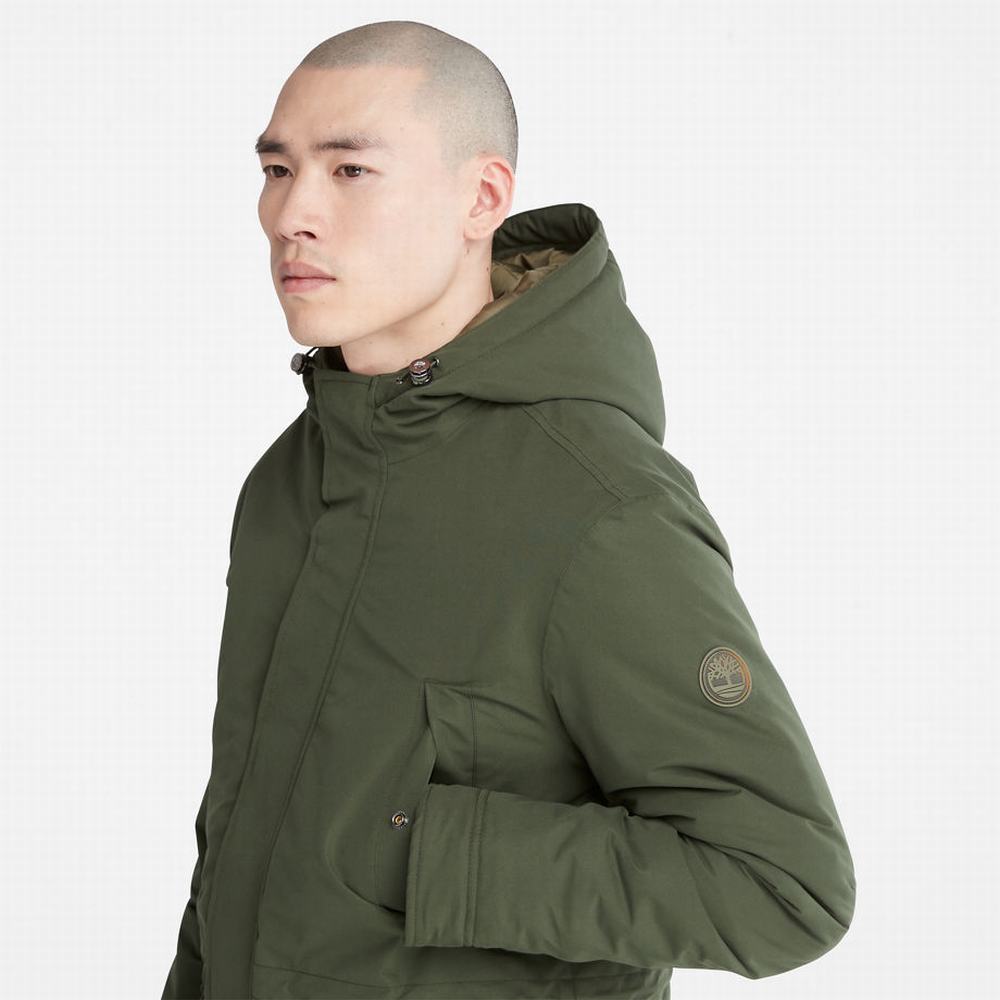 Bundy Parka Timberland Insulated City Panske Tmavo Zelene | MX0379185