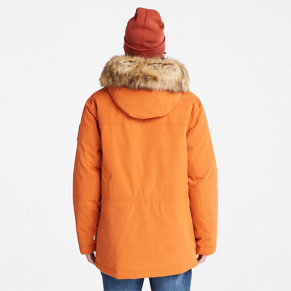 Bundy Parka Timberland Scar Ridge DryVent™ Panske Oranžové | GI5401963