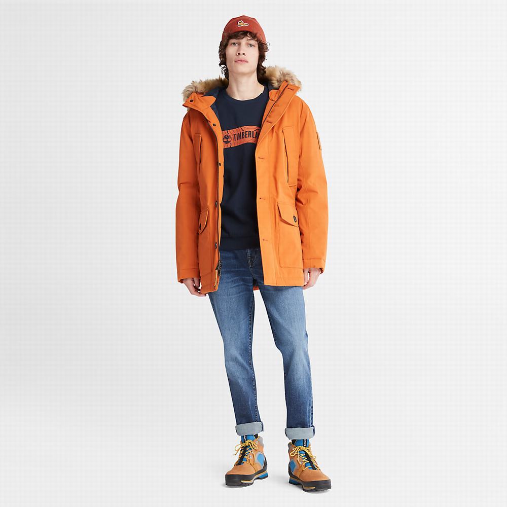 Bundy Parka Timberland Scar Ridge DryVent™ Panske Oranžové | GI5401963