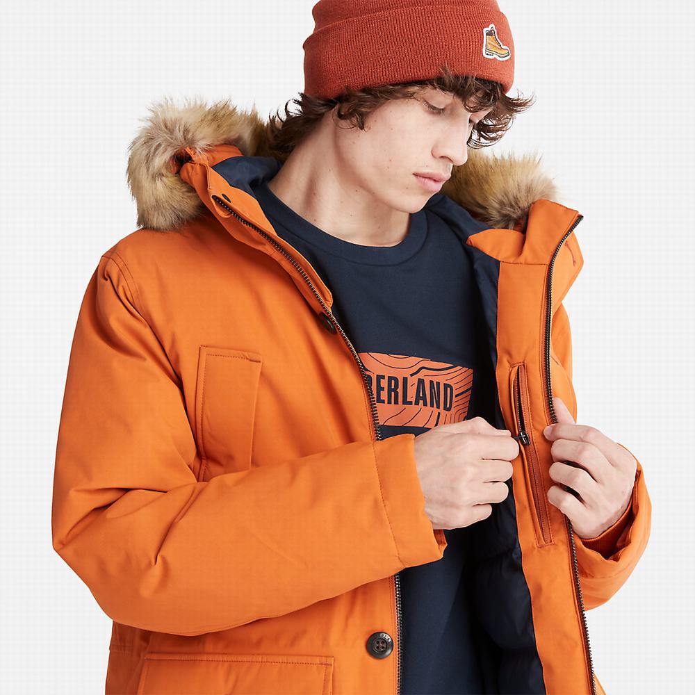 Bundy Parka Timberland Scar Ridge DryVent™ Panske Oranžové | GI5401963