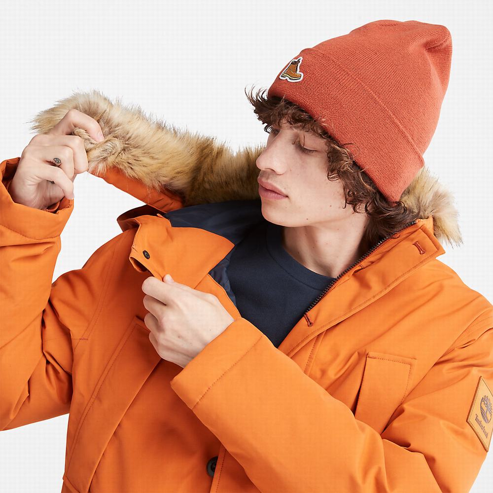 Bundy Parka Timberland Scar Ridge DryVent™ Panske Oranžové | GI5401963