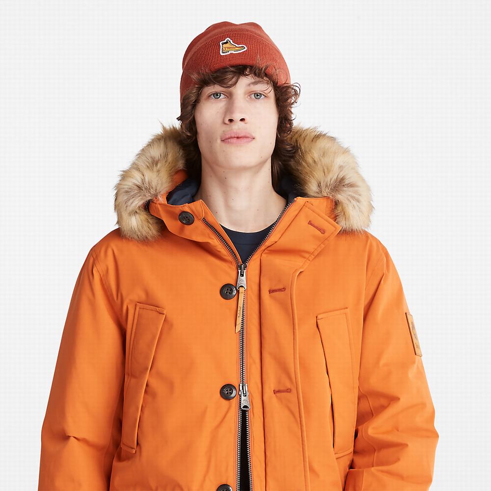 Bundy Parka Timberland Scar Ridge DryVent™ Panske Oranžové | GI5401963