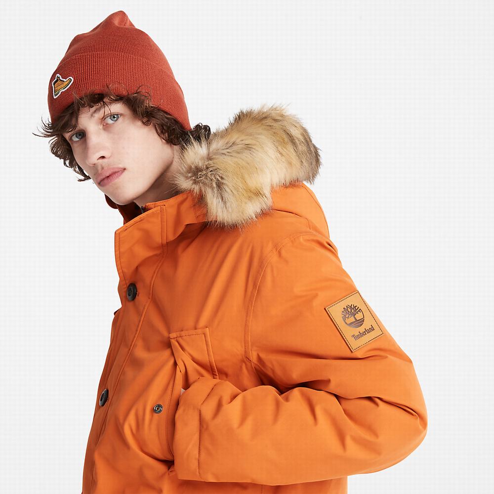 Bundy Parka Timberland Scar Ridge DryVent™ Panske Oranžové | GI5401963