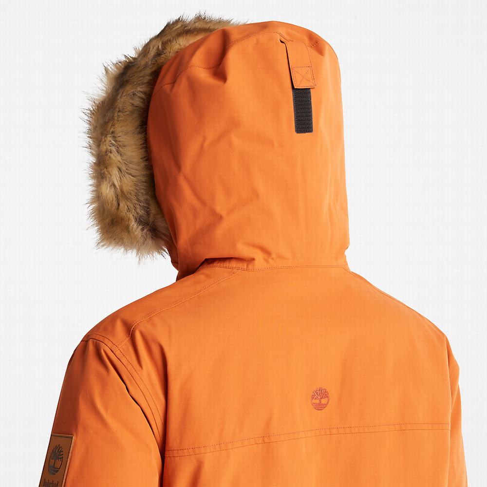 Bundy Parka Timberland Scar Ridge DryVent™ Panske Oranžové | GI5401963