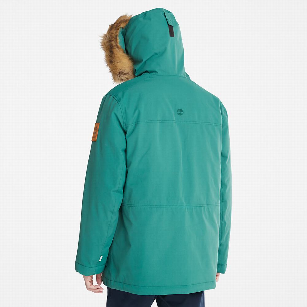 Bundy Parka Timberland Scar Ridge DryVent™ Panske Zelene | WH3056719