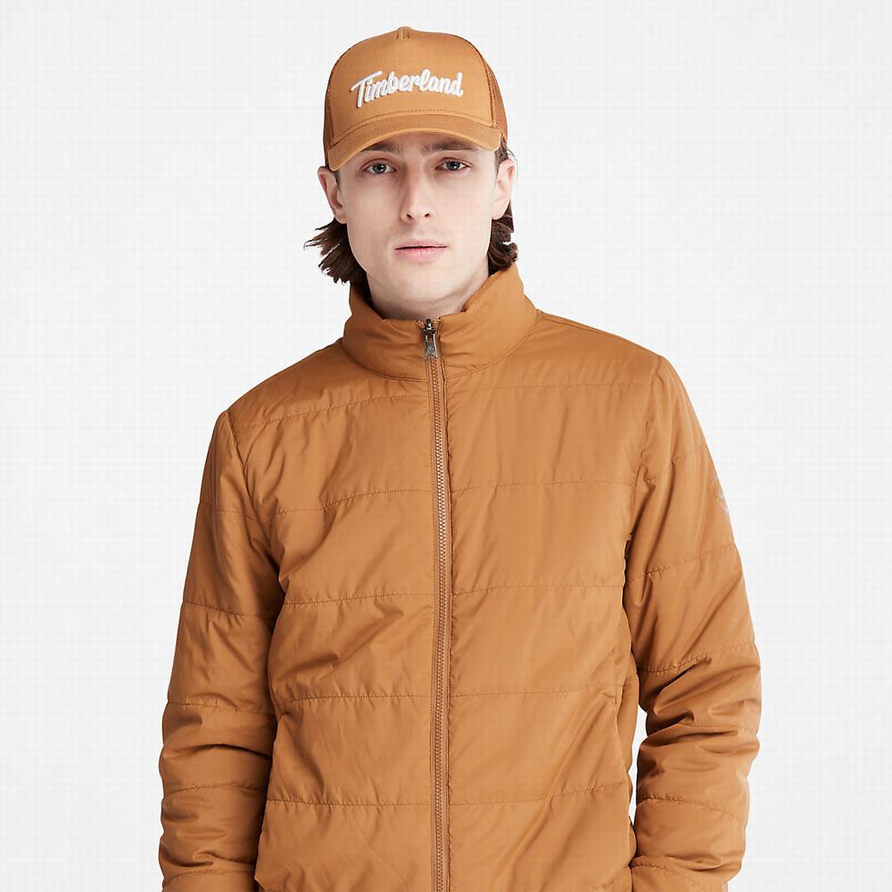 Bundy Parka Timberland Snowdon Peak 3-in-1 DryVent™ Panske Svetlo Hnede | GC2601483