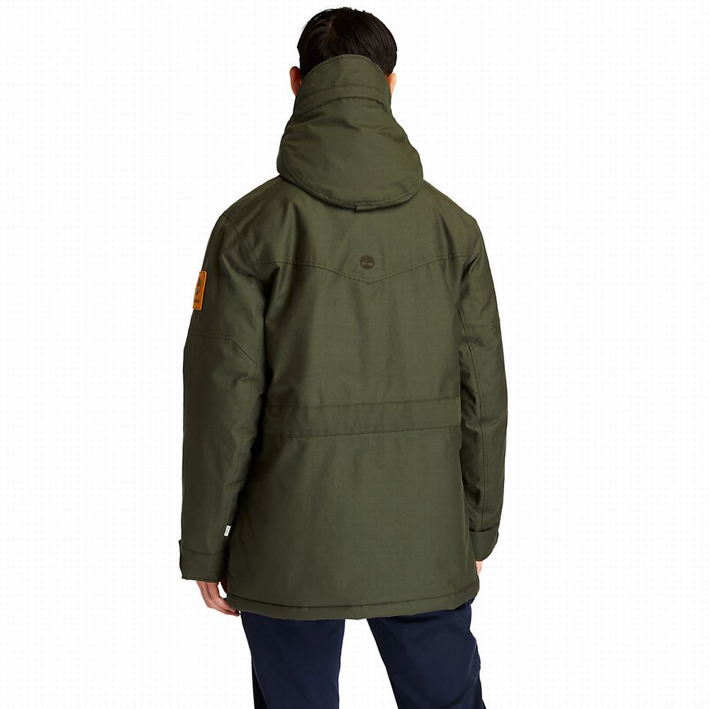 Bundy Parka Timberland Wilmington DryVent™ Field Panske Tmavo Zelene | TW2409831