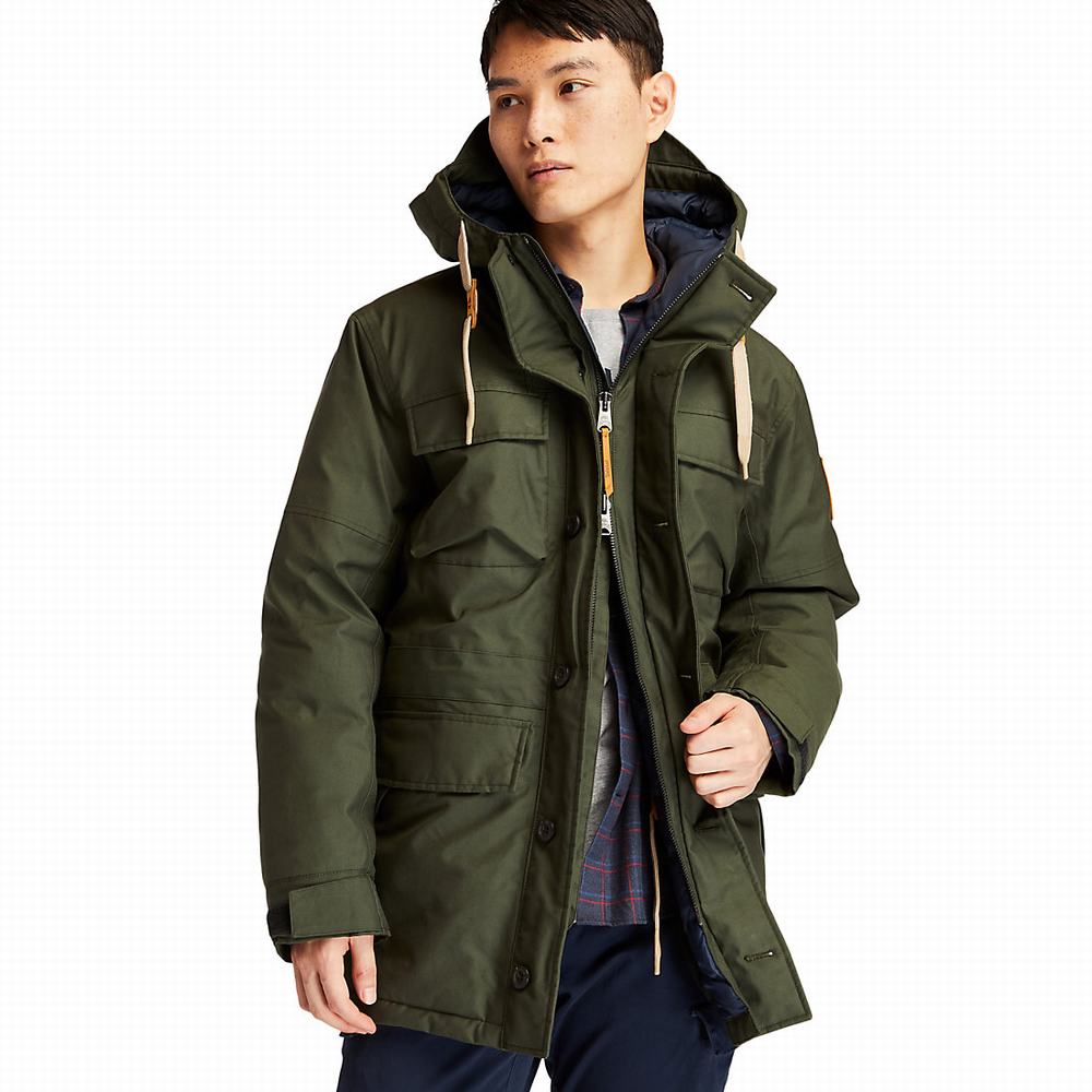 Bundy Parka Timberland Wilmington DryVent™ Field Panske Tmavo Zelene | TW2409831