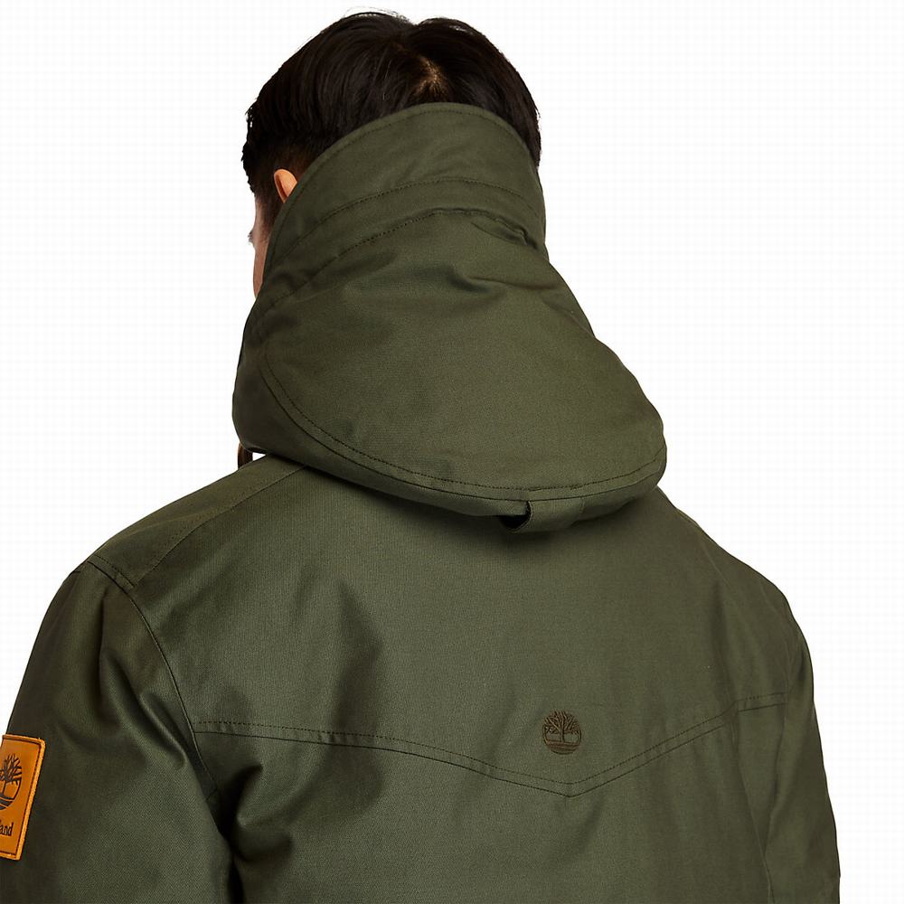 Bundy Parka Timberland Wilmington DryVent™ Field Panske Tmavo Zelene | TW2409831