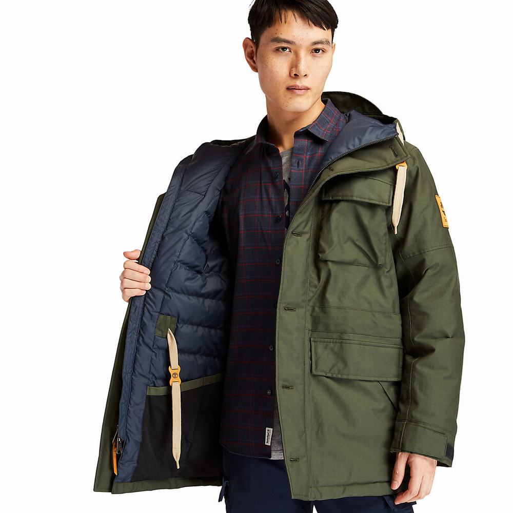 Bundy Parka Timberland Wilmington DryVent™ Field Panske Tmavo Zelene | TW2409831