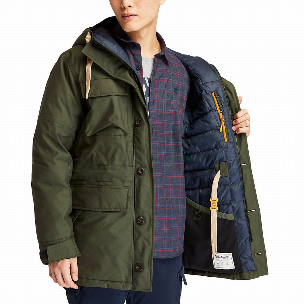 Bundy Parka Timberland Wilmington DryVent™ Field Panske Tmavo Zelene | TW2409831