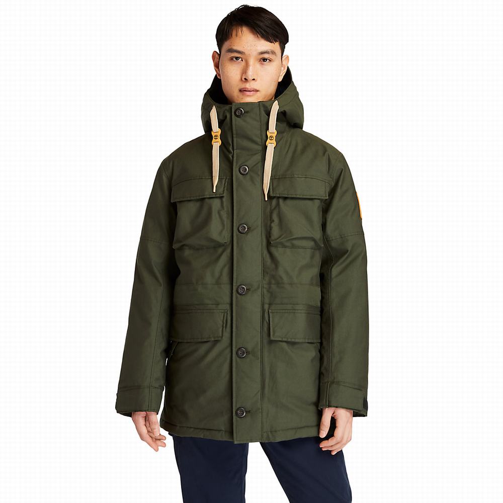 Bundy Parka Timberland Wilmington DryVent™ Field Panske Tmavo Zelene | TW2409831