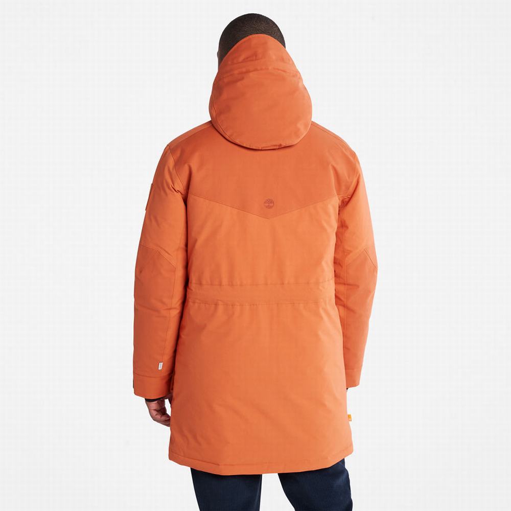 Bundy Parka Timberland Wilmington Expedition Panske Oranžové | VR7086324