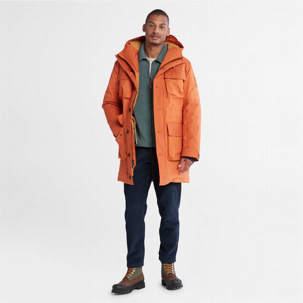 Bundy Parka Timberland Wilmington Expedition Panske Oranžové | VR7086324