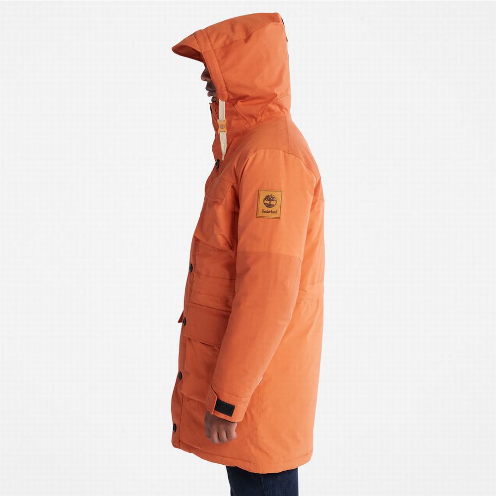 Bundy Parka Timberland Wilmington Expedition Panske Oranžové | VR7086324