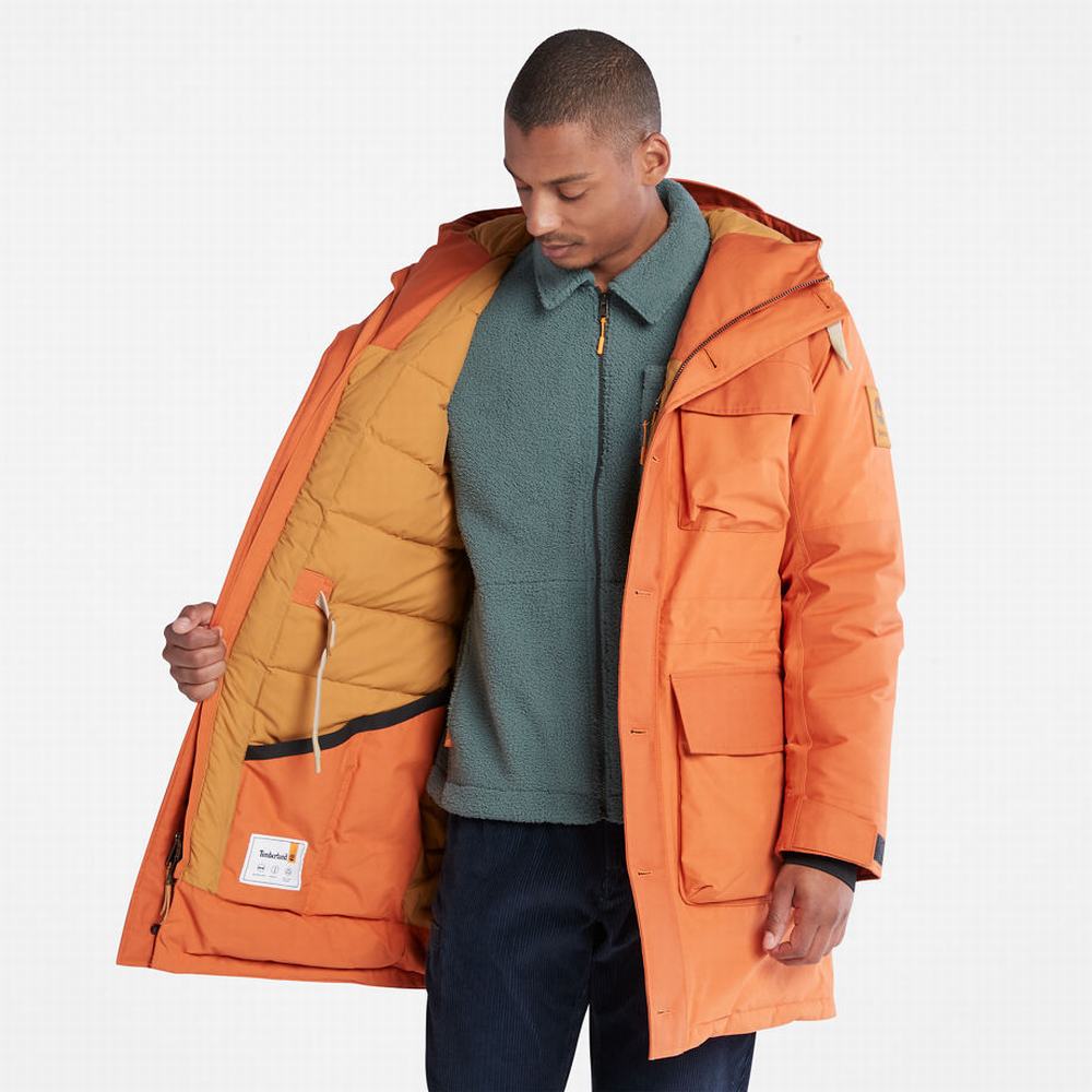 Bundy Parka Timberland Wilmington Expedition Panske Oranžové | VR7086324