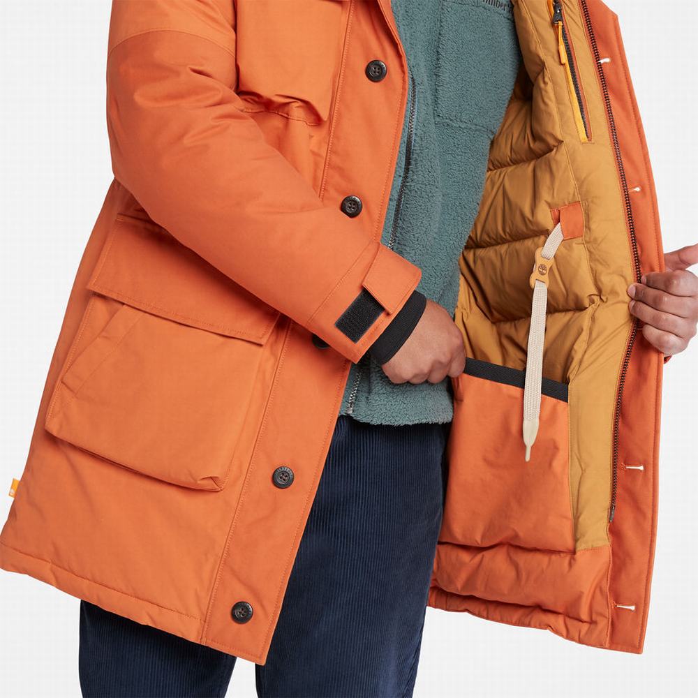 Bundy Parka Timberland Wilmington Expedition Panske Oranžové | VR7086324