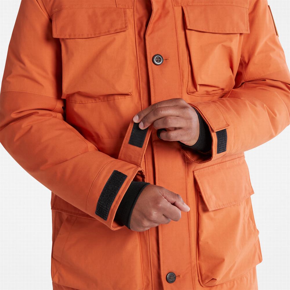 Bundy Parka Timberland Wilmington Expedition Panske Oranžové | VR7086324