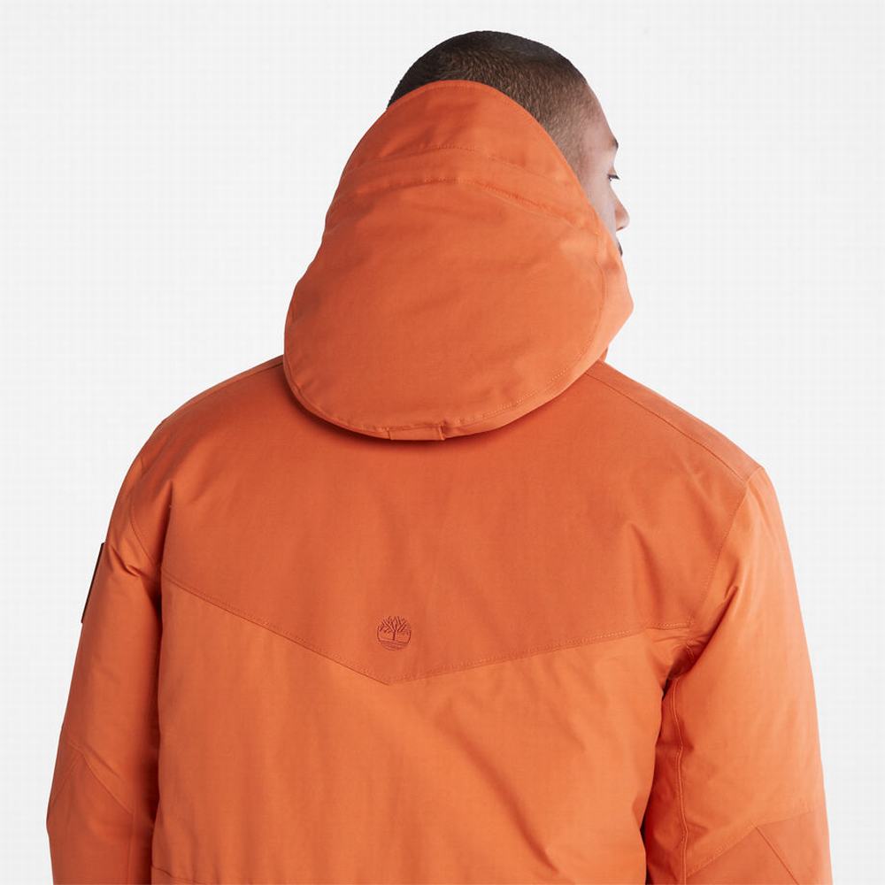 Bundy Parka Timberland Wilmington Expedition Panske Oranžové | VR7086324