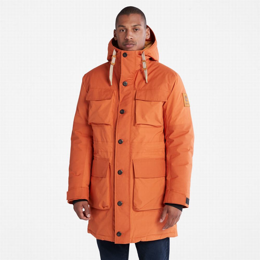 Bundy Parka Timberland Wilmington Expedition Panske Oranžové | VR7086324