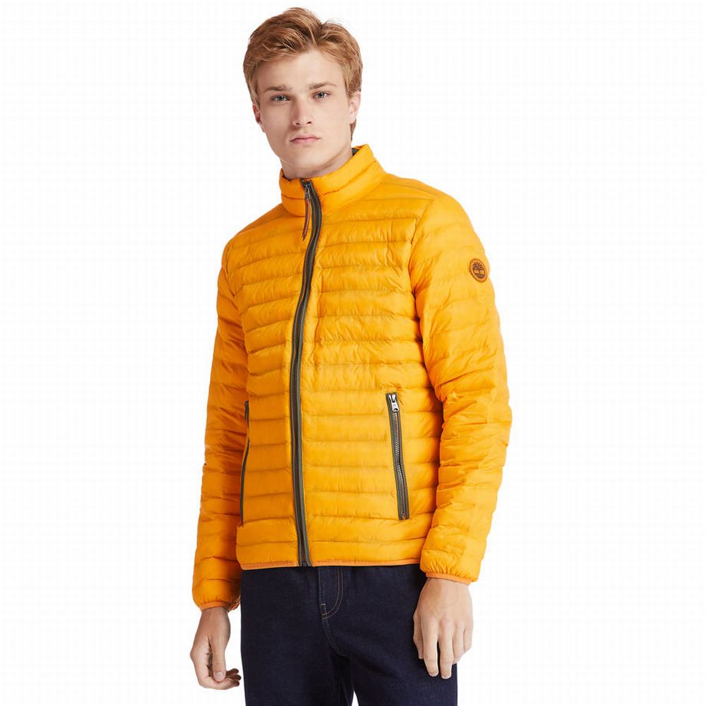 Bundy Timberland Axis Peak Packable Panske Žlté | PE4823507