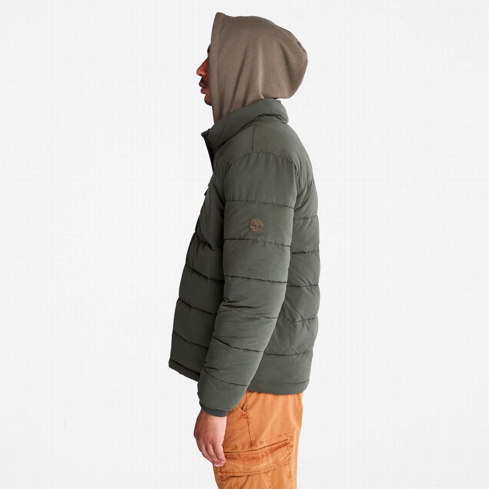 Bundy Timberland Mount Weeks Warm Prešívané Panske Tmavo Zelene | BG6804579