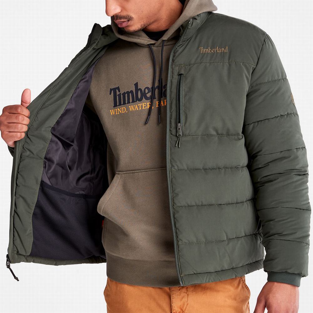 Bundy Timberland Mount Weeks Warm Prešívané Panske Tmavo Zelene | BG6804579