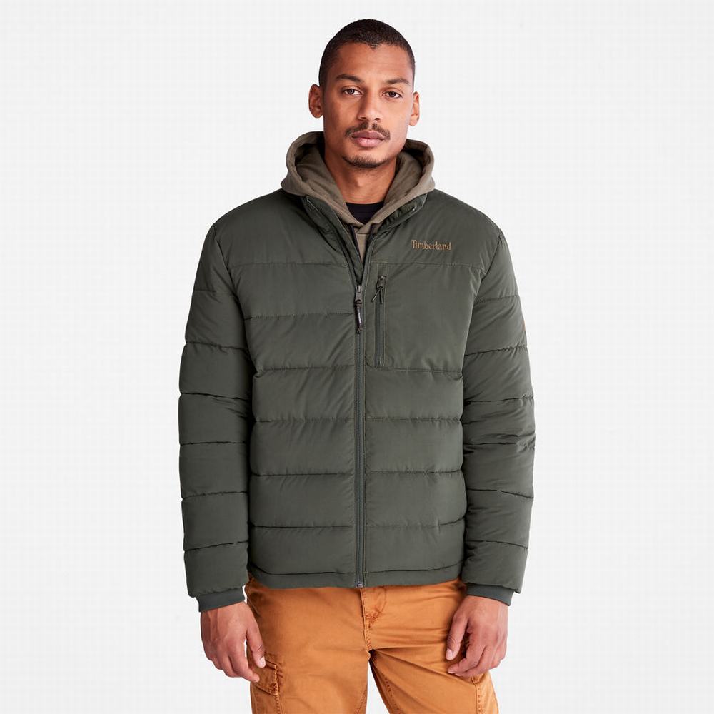 Bundy Timberland Mount Weeks Warm Prešívané Panske Tmavo Zelene | BG6804579