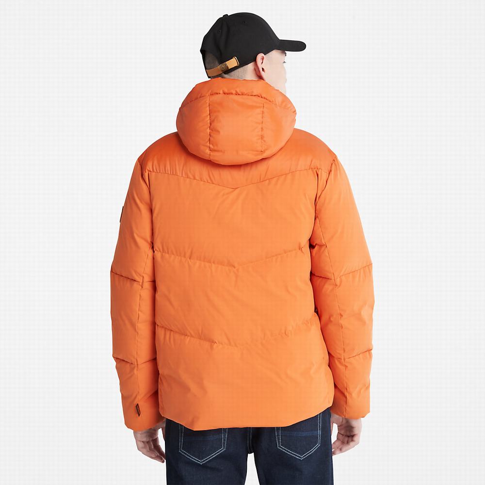 Bundy Timberland Neo Summit S Kapucňou Panske Oranžové | GF4087296