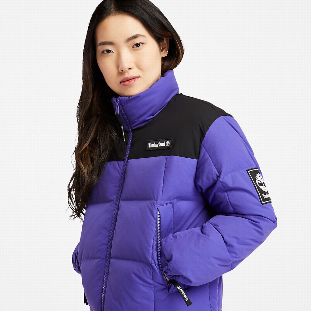 Bundy Timberland Non-Down Puffer Damske Tmavo Modre | EQ0925638