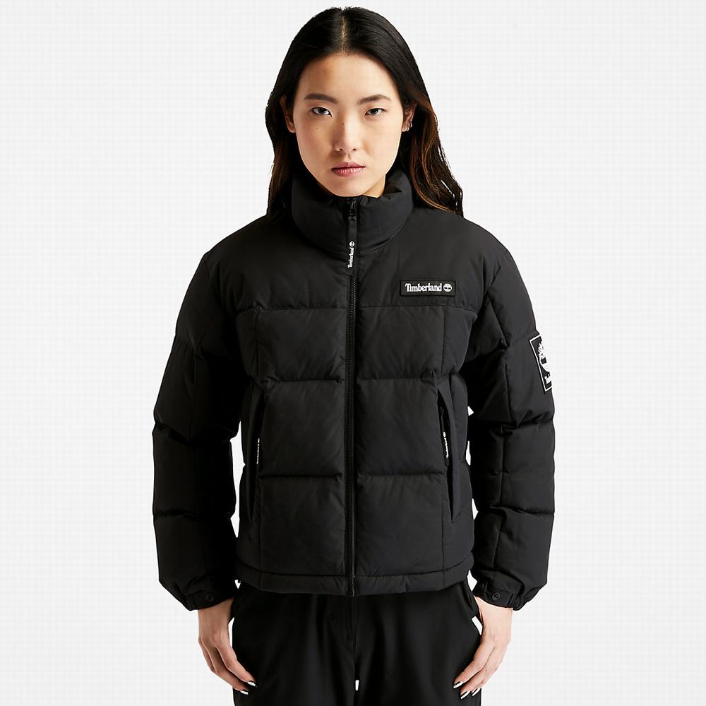 Bundy Timberland Non-Down Puffer Damske Čierne | NL4983267