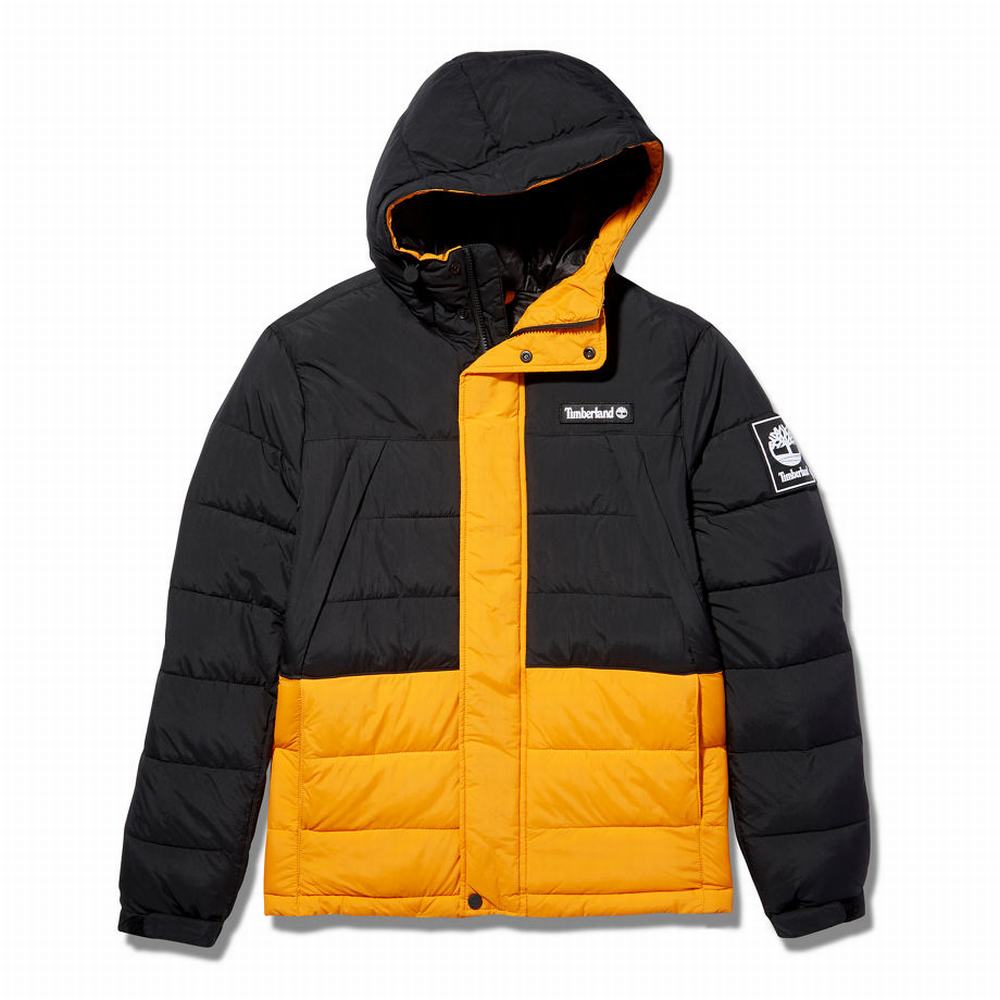 Bundy Timberland Outdoor Archive Puffer Panske Čierne Oranžové | TF7146598