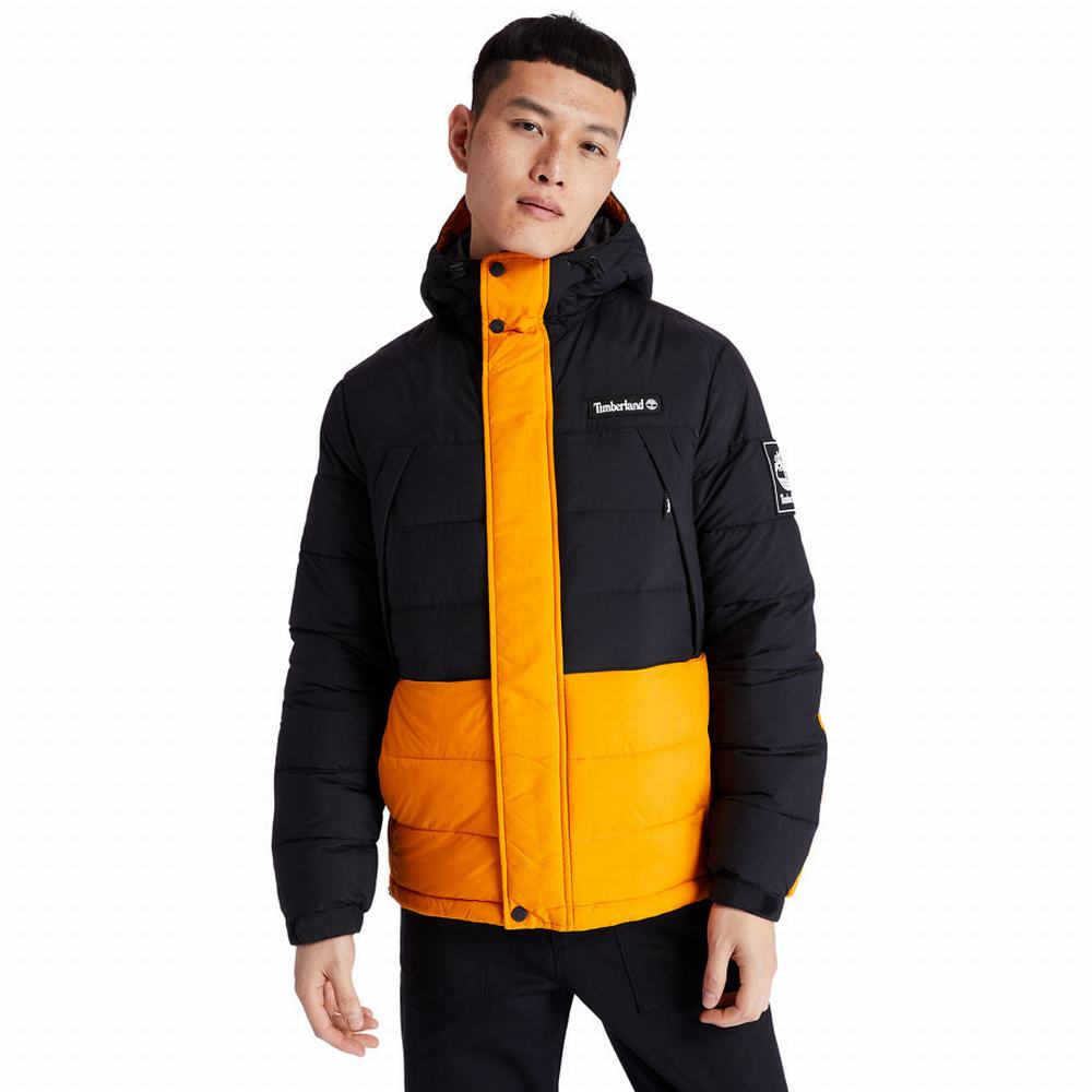 Bundy Timberland Outdoor Archive Puffer Panske Čierne Oranžové | TF7146598