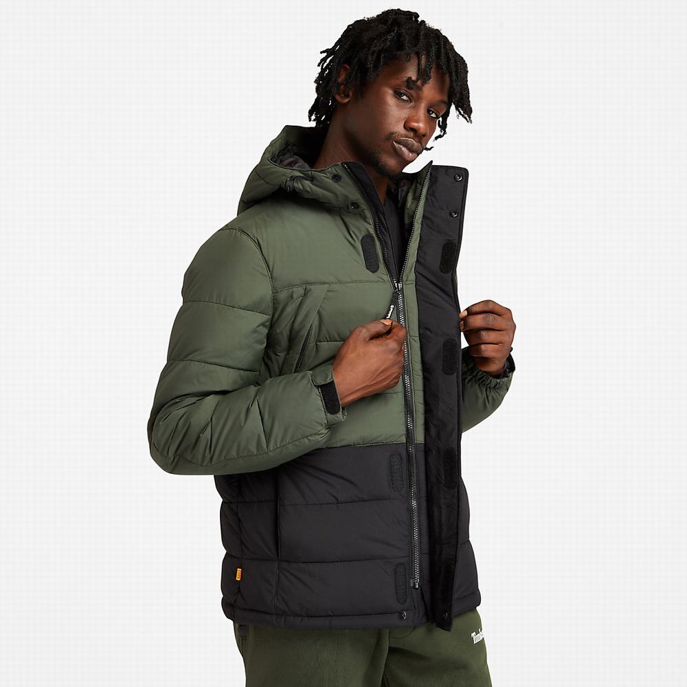 Bundy Timberland Outdoor Archive Puffer Panske Zelene | VQ8362915