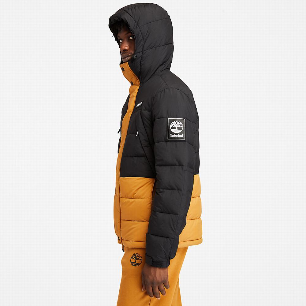 Bundy Timberland Outdoor Archive Puffer Panske Žlté | ZA5790132